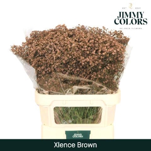 Gyps Xlence L80 Brown