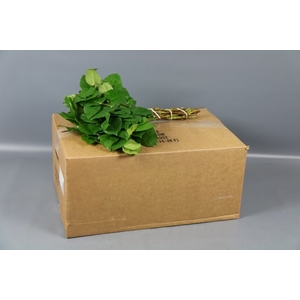 SALAL TIPS BROWN BOX (ROYAL STARS)