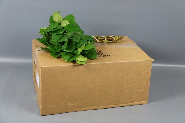 SALAL TIPS BROWN BOX (ROYAL STARS)