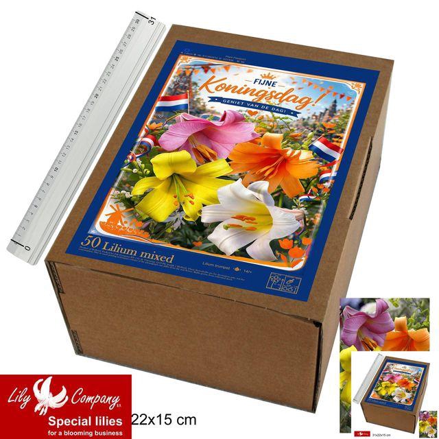 <h4>BLOEMBOL OV</h4>