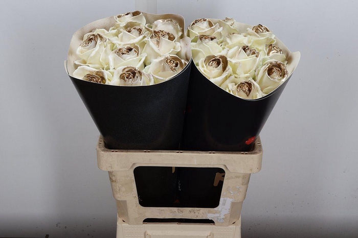 <h4>R Ov Wx Wit + Goud</h4>