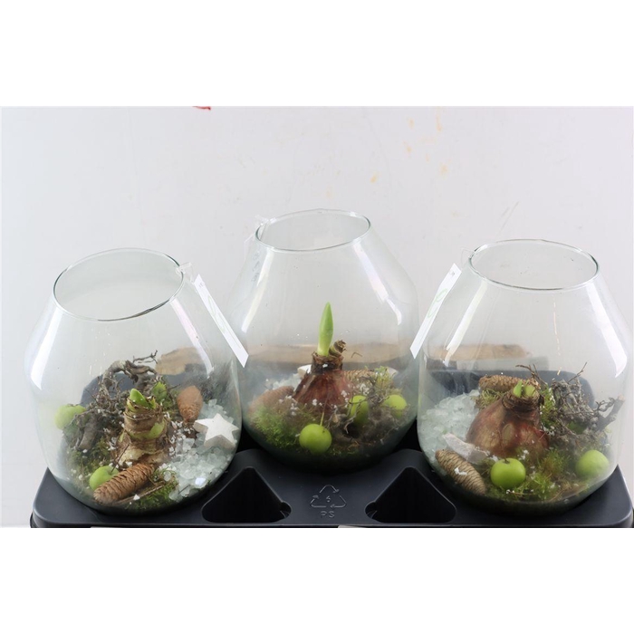 <h4>Arr Hipp In Glasvaas Madrid 25am-174</h4>