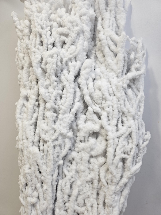 KERST BETULA PER BOS VLOK WIT