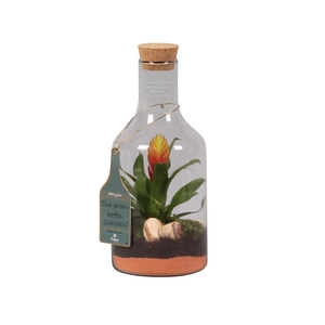 Green Bottle H33 klein met