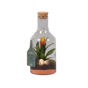 Green Bottle H33 klein met