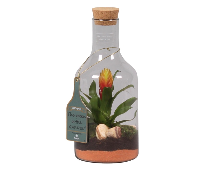 <h4>Green Bottle H33 klein met</h4>