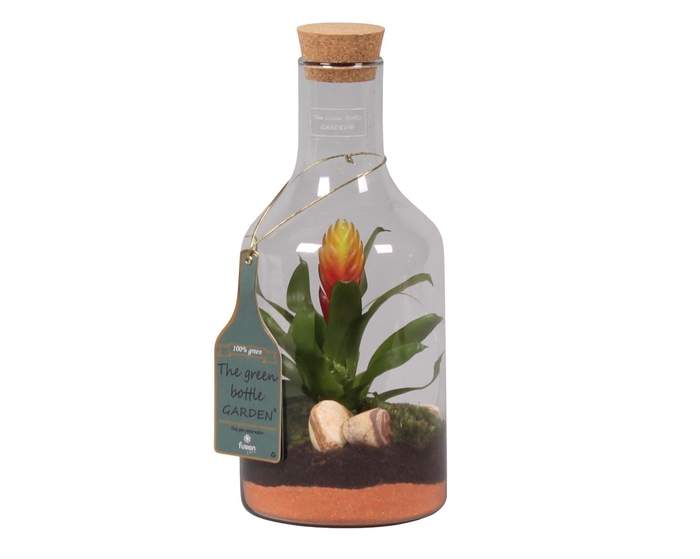 <h4>Green Bottle H33 klein met</h4>