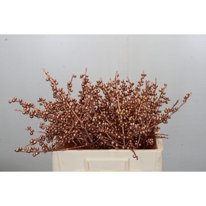 Ilex paint Copper