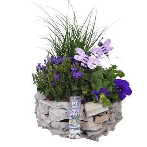 PTPP7044 Arrangement Patio in houten pot