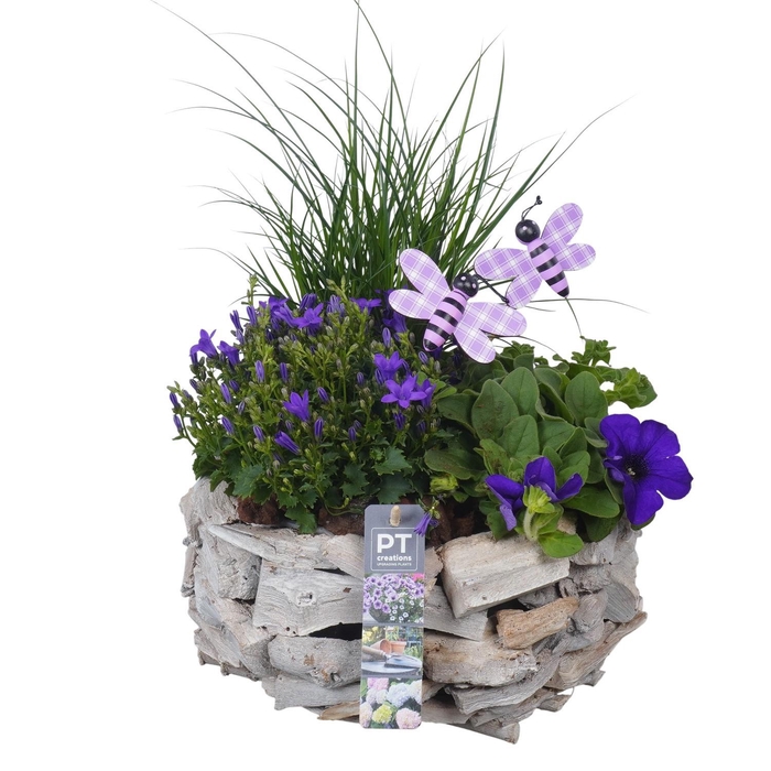<h4>PTPP7044 Arrangement Patio in houten pot</h4>