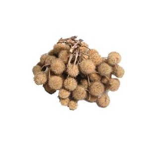 Bunch Platana Ball 240g