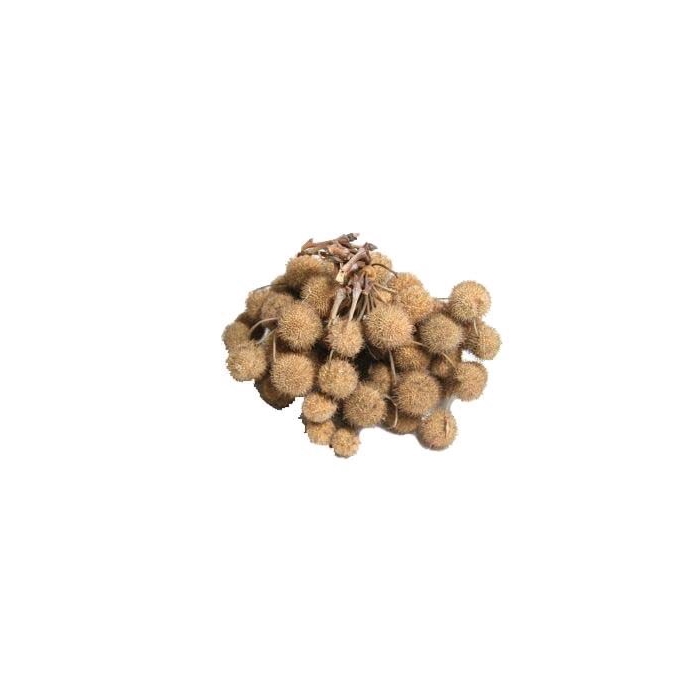 <h4>Bunch Platana Ball 240g</h4>