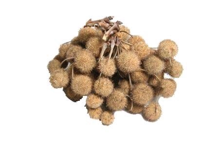 Bunch Platana Ball 240g