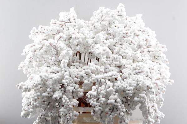 <h4>Peper Bes Op Stok Zz Icy Wit</h4>