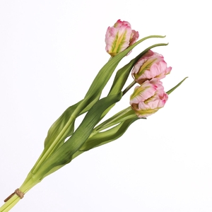 Tulip Bundle Pink BK770017PNK