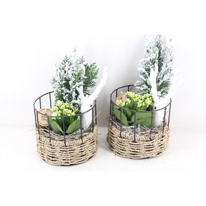 arr2 PL - Mand rond metaal frame wit