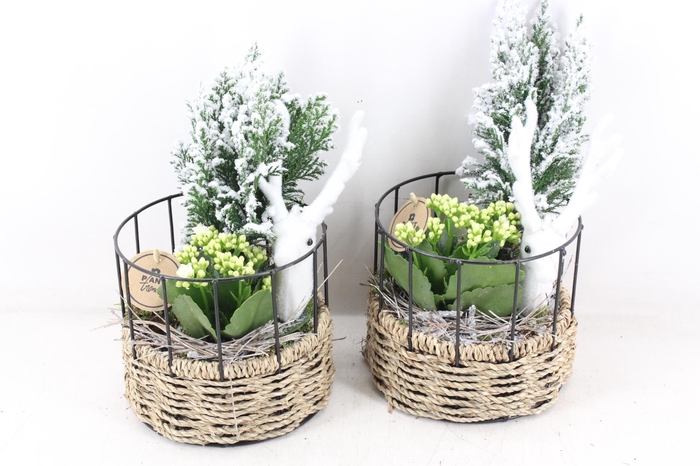 <h4>arr2 PL - Mand rond metaal frame wit</h4>