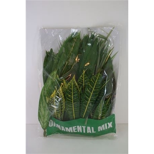 Tropical Leaf Mix 100 Leafs