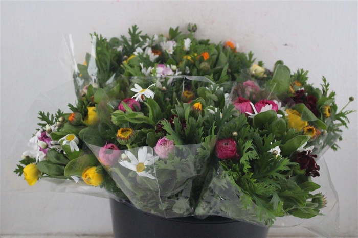 <h4>Boeket Primavera P Bunch</h4>