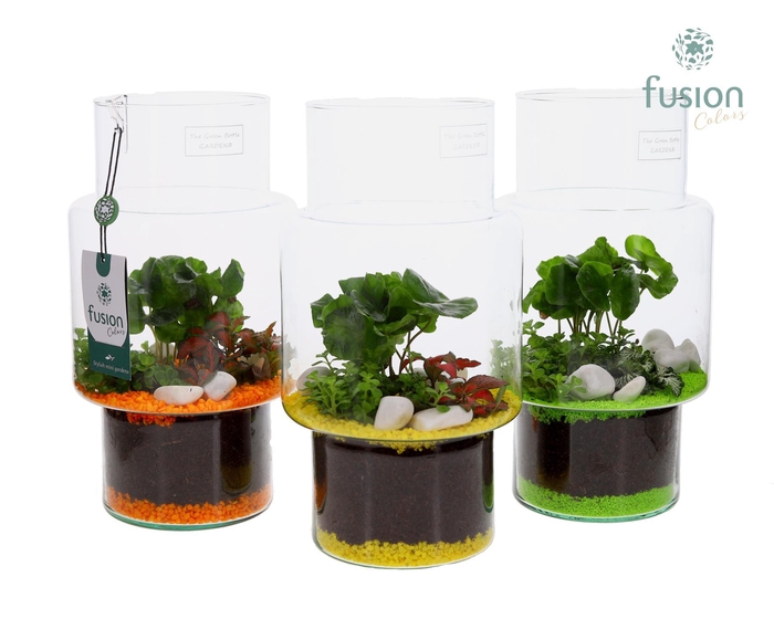 <h4>Green Bottle Sara Medium met Arrangement</h4>