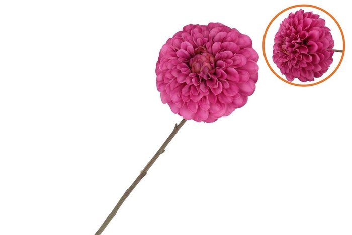 <h4>Silk Dahlia Bold Purple 68cm Nm</h4>
