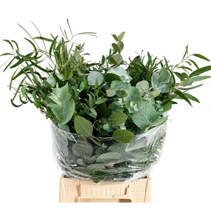 Euc. Mix Per Bunch Short