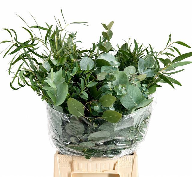 <h4>Euc. Mix Per Bunch Short</h4>
