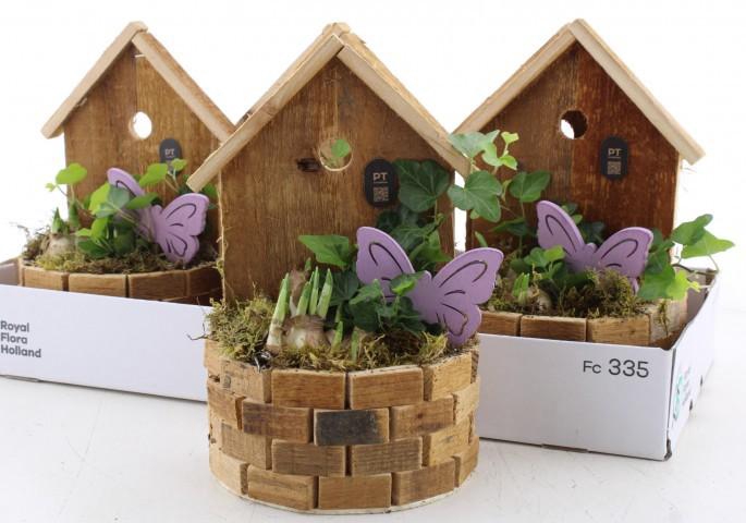 <h4>ARR PL IN SCHAAL</h4>