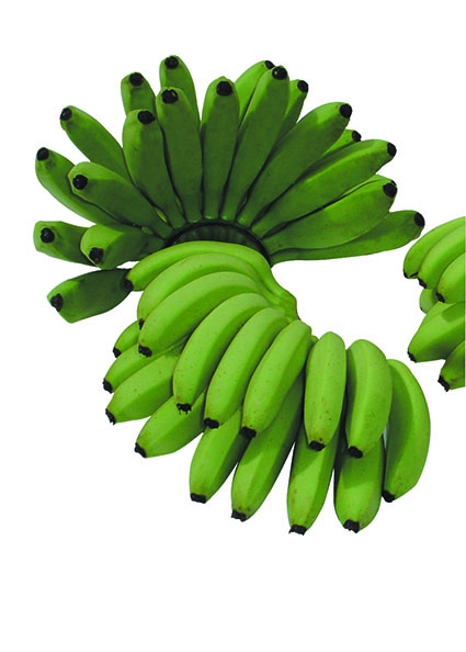 <h4>Banana Finger Green</h4>