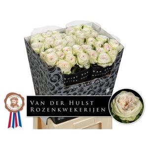 R Gr Bal D Summerhou