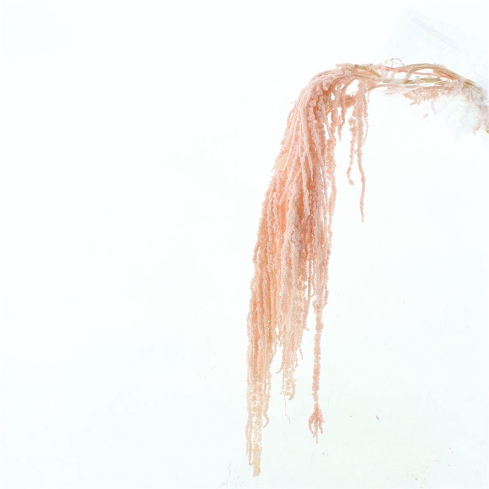 <h4>DROOGBL BEWERKT H%</h4>