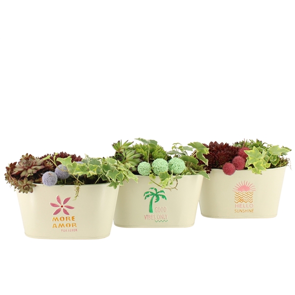 <h4>31607: Outdoor summer arrangement</h4>