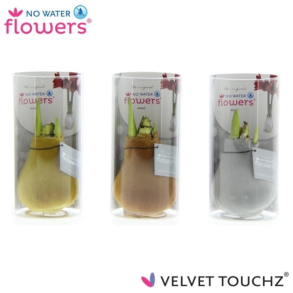 <h4>No Water Flowers Velvet Touchz® Metallic in koker</h4>