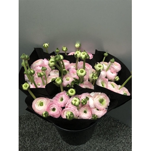 Ran Suc Confetto Sup