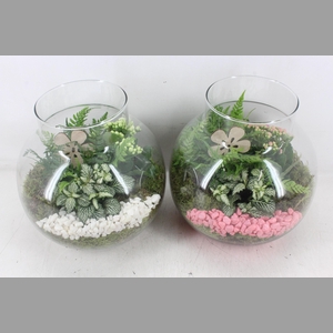 arr2 PL - Bolglas nek XL - roze/wit