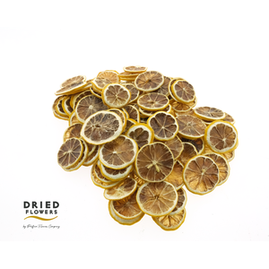 Dried Deco Lemon Slices