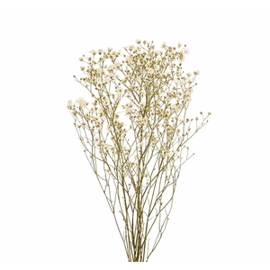Dried Limon Diamond White Bunch