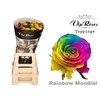 R GR RAINBOW MONDIAL