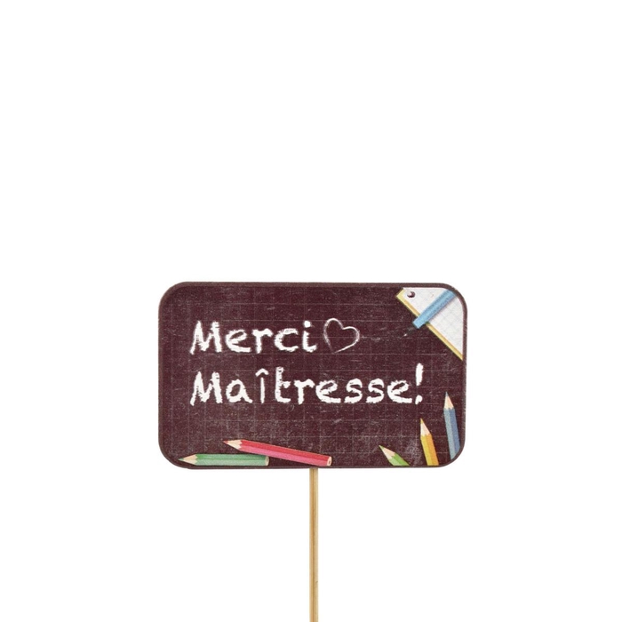 <h4>Sticks 12cm Merci maîtresse 5cm</h4>