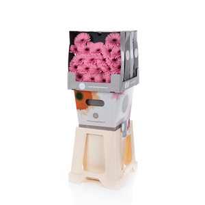 Germini Talent Diamond