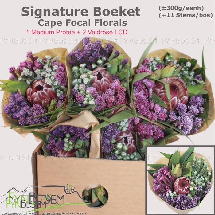 <h4>PROTEA PER BOS</h4>