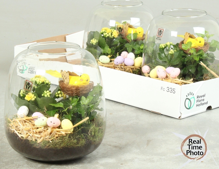 <h4>ARR KAMERPL</h4>