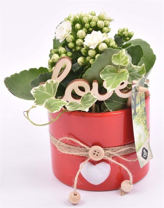 <h4>Keramiek pot rood met hart 10cm</h4>