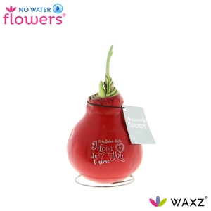 No Water Flowers Waxz® Message Printz Love