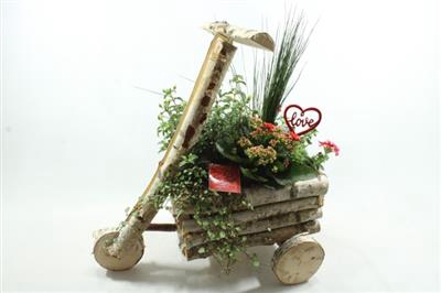 <h4>FIETS</h4>