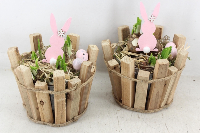 <h4>arr4 Narcis JS - Ton latjes bruin x4</h4>