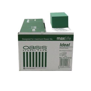OASIS BLOK IDEAL X20 23?*11?*8CM OASI