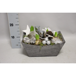 Arrangement Kerst Hyacint Houten rechthoek