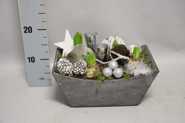 <h4>Arrangement Kerst Hyacint Houten rechthoek</h4>