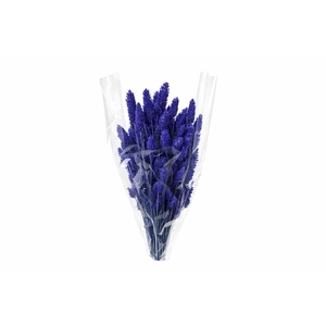 Dried Phalaris Dark Blue Bunch